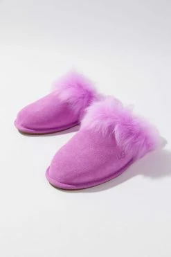Dr. Martens Sales 18 Best Pirce ???? Women's UGG Scuff Sis Sheepskin Slipper Purple Ruby ????